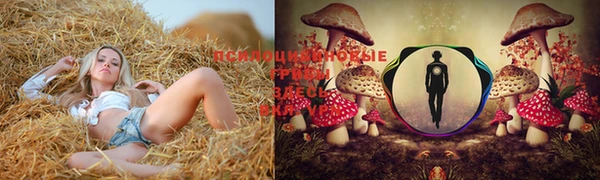 каннабис Арсеньев