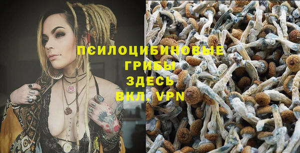 каннабис Арсеньев