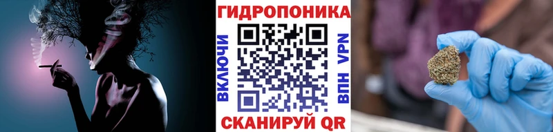 МАРИХУАНА сатива Болгар